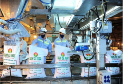 Cơ hội cho các doanh nghiệp phân đạm Việt Nam?