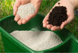 Thị trường phân bón Trung Quốc tháng 9 năm 2023