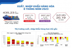 Xuất nhập khẩu trong tháng 8 tiếp tục khởi sắc